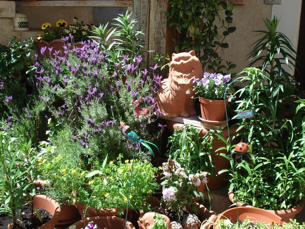 Navelli Abruzzo Segreto B&B 외부 사진