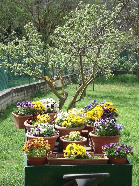 Navelli Abruzzo Segreto B&B 외부 사진