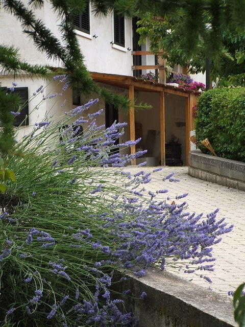 Navelli Abruzzo Segreto B&B 외부 사진